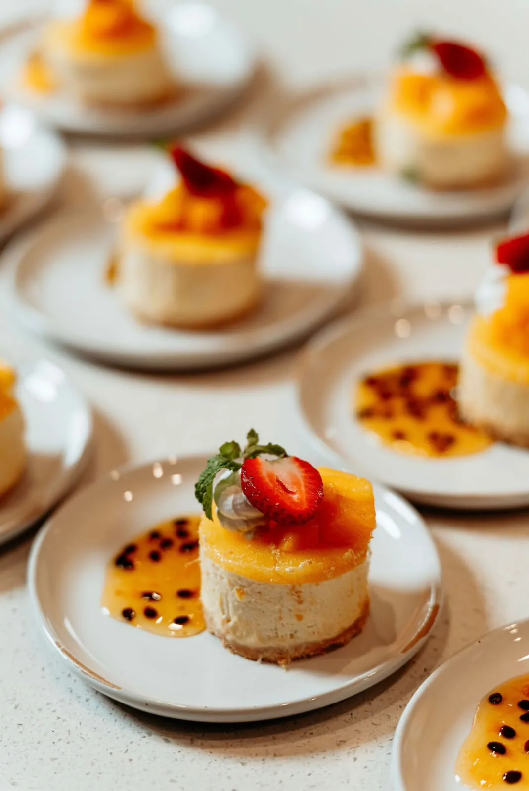 Private chef dining photograph 4