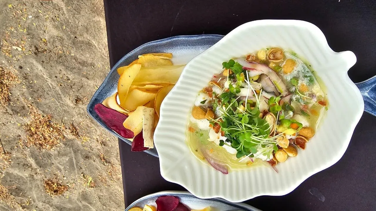 Fresh ceviche served in a white seashell bowl in Guanacaste