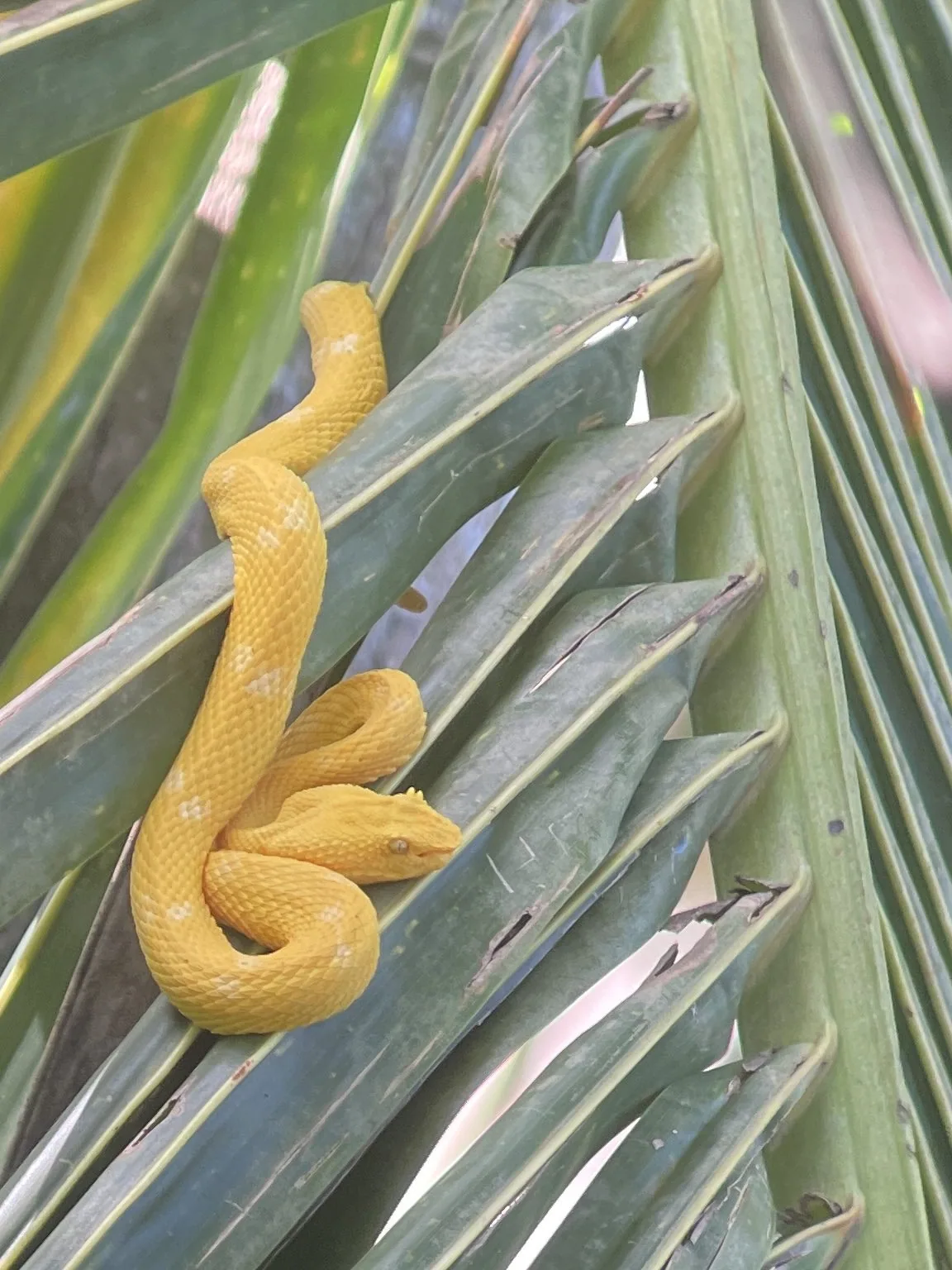 Photograph taken by Patrick while exploring Costa Rica