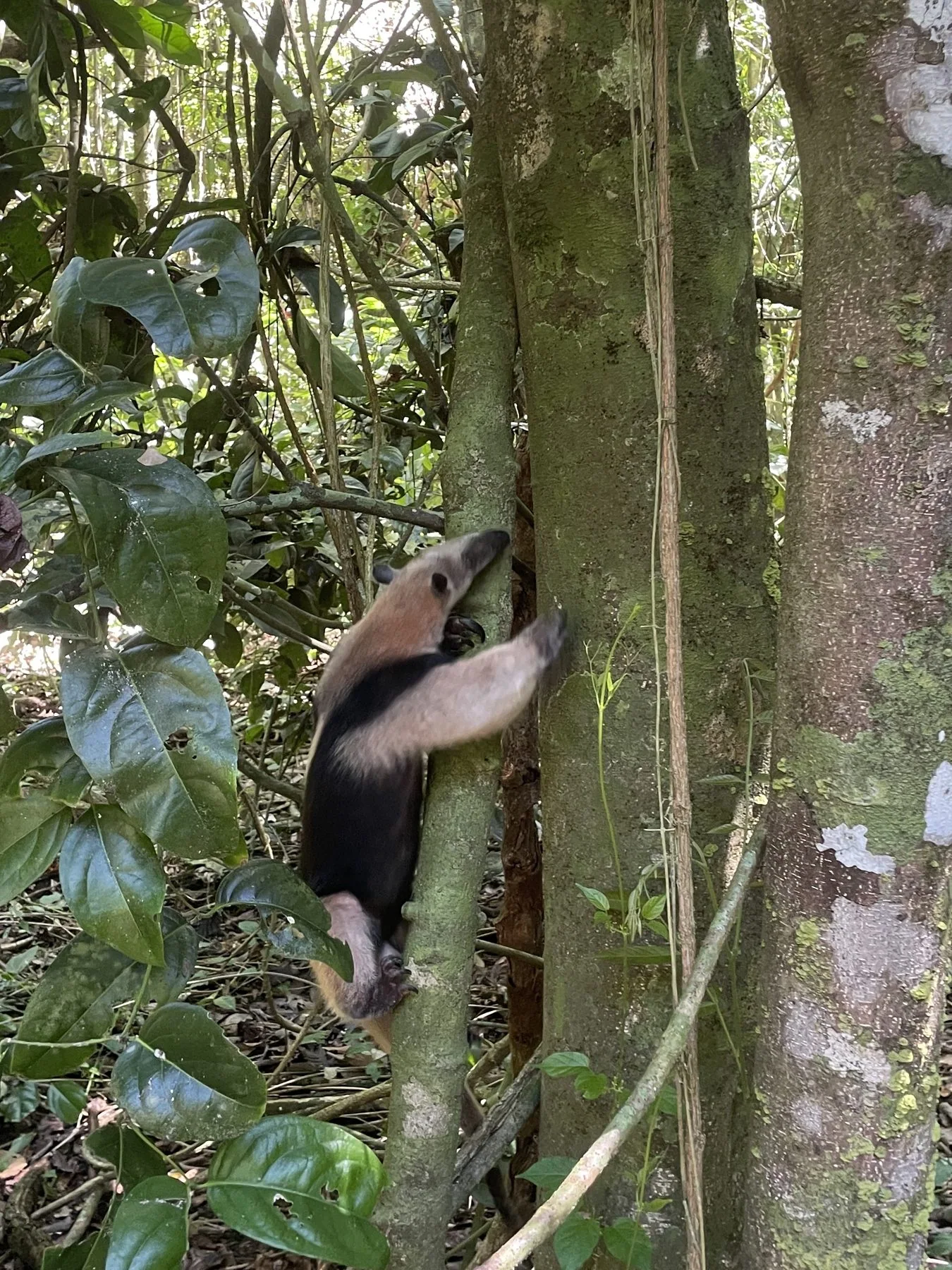 Photograph taken by Patrick while exploring Costa Rica