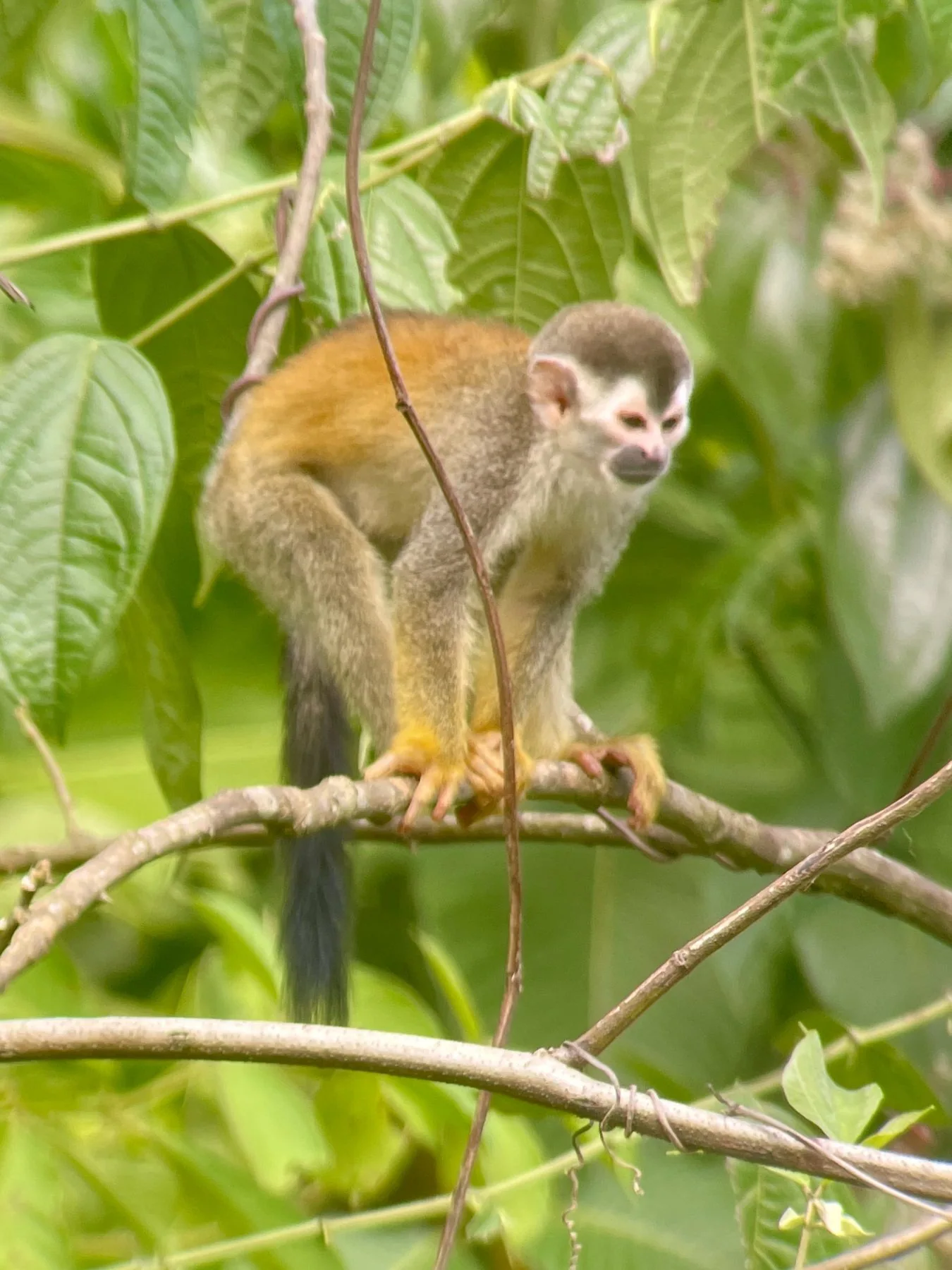 Photograph taken by Patrick while exploring Costa Rica
