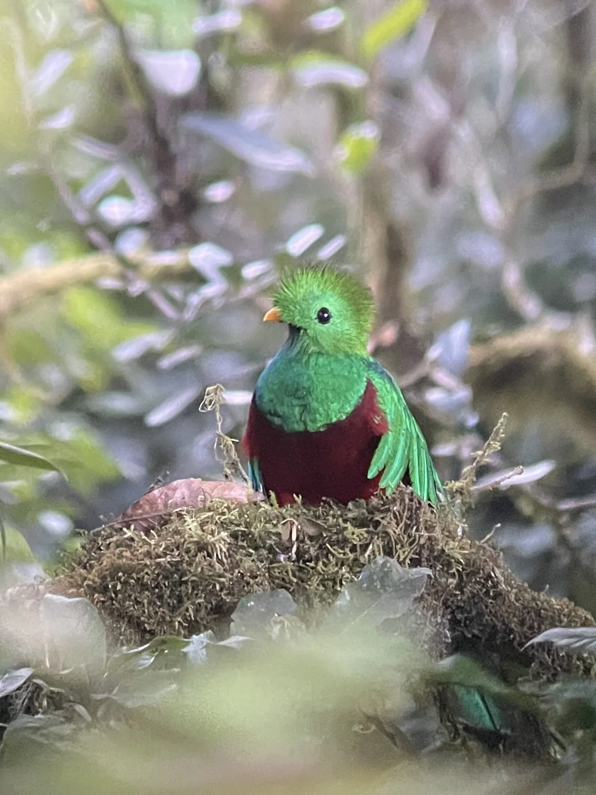 Photograph taken by Patrick while exploring Costa Rica