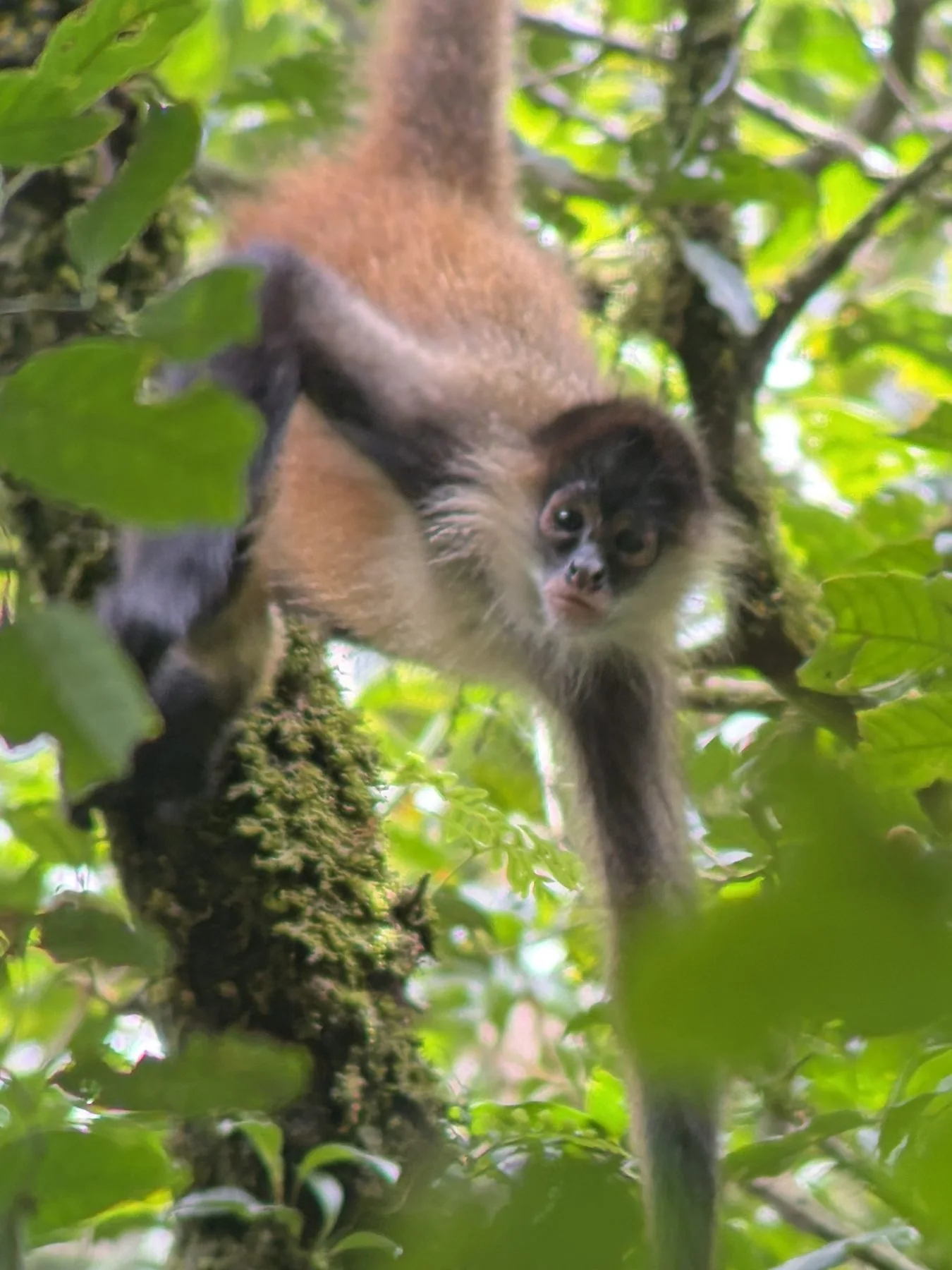 Photograph taken by Patrick while exploring Costa Rica