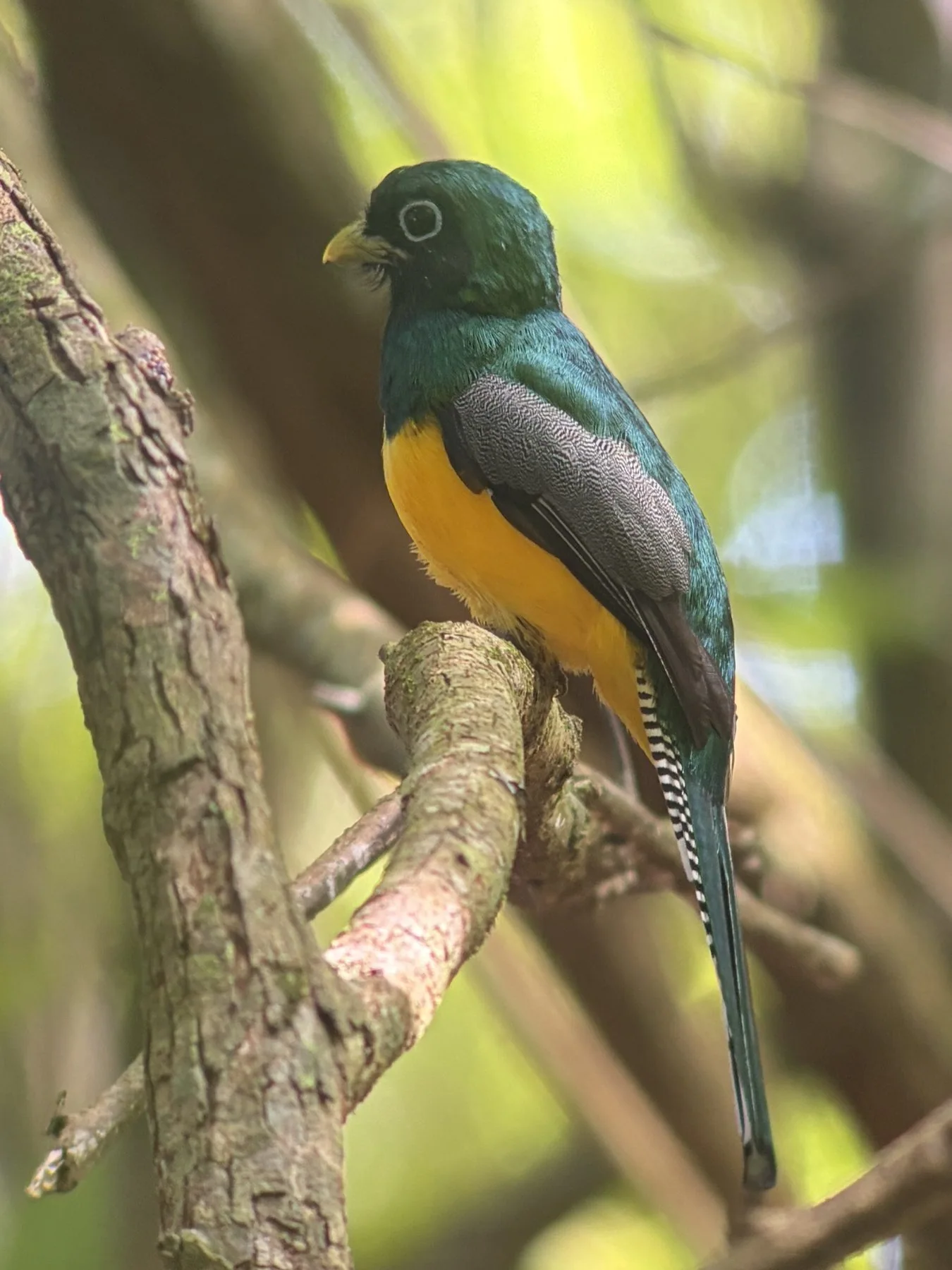 Photograph taken by Patrick while exploring Costa Rica