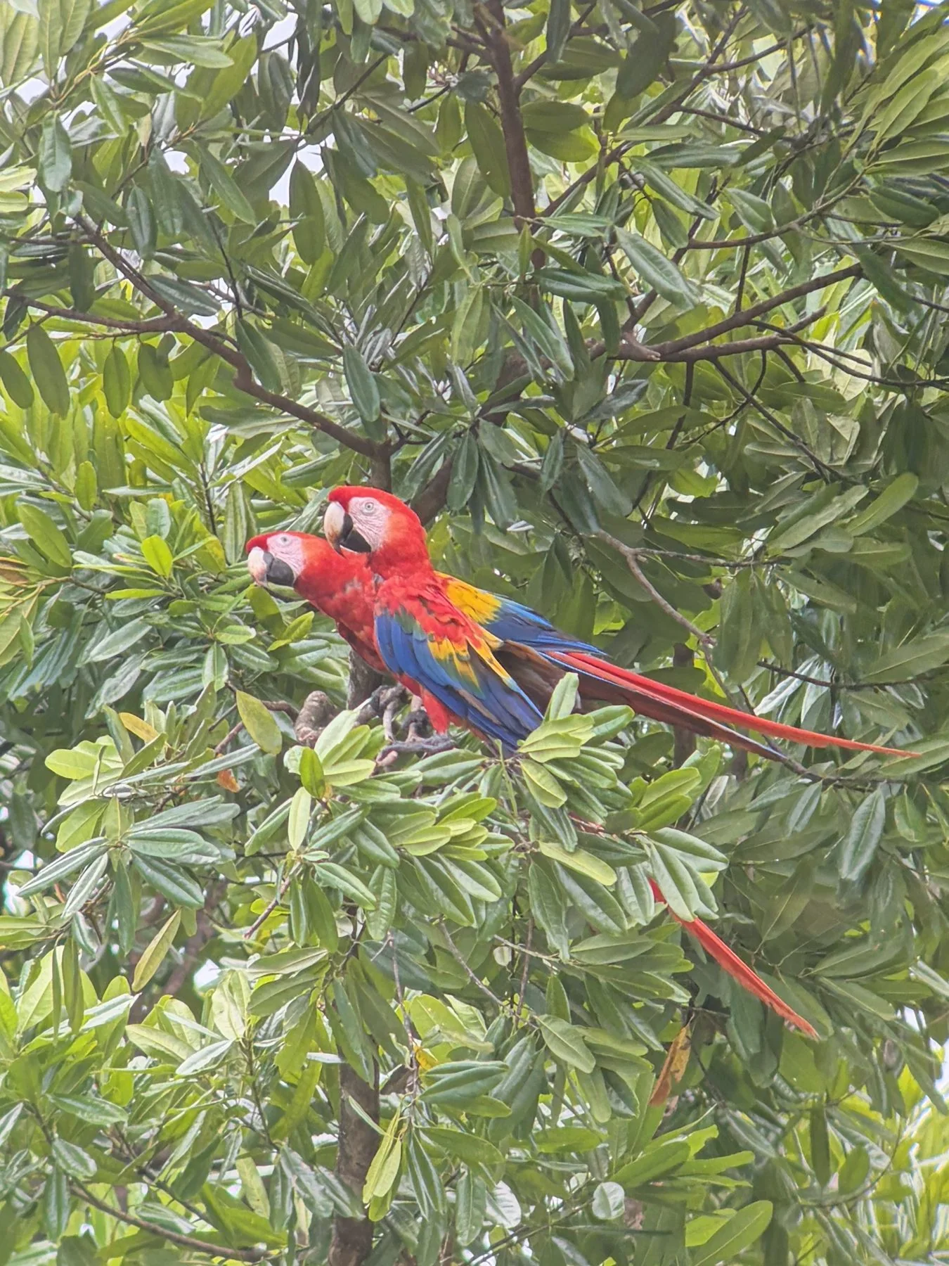 Photograph taken by Patrick while exploring Costa Rica