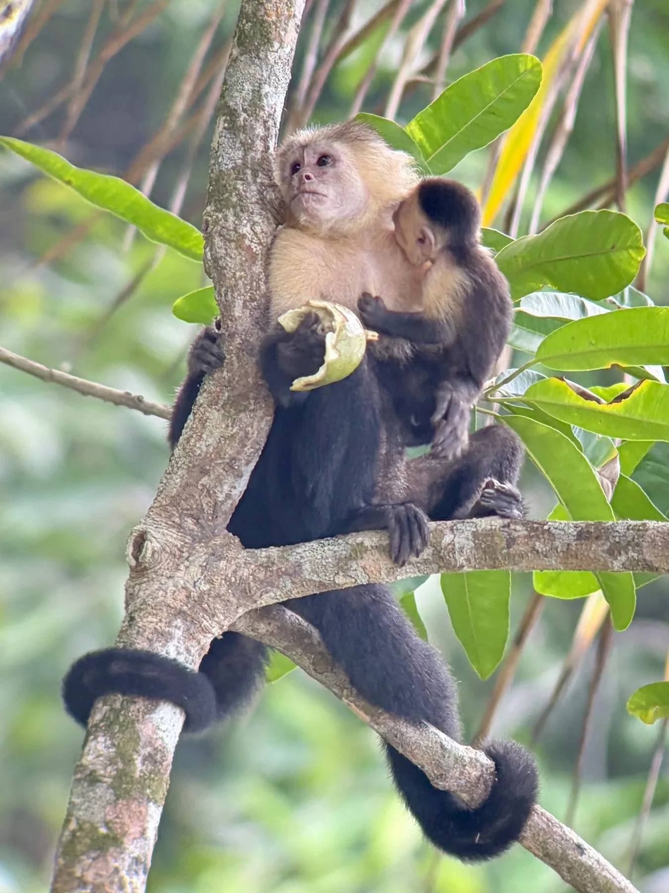 Photograph taken by Patrick while exploring Costa Rica