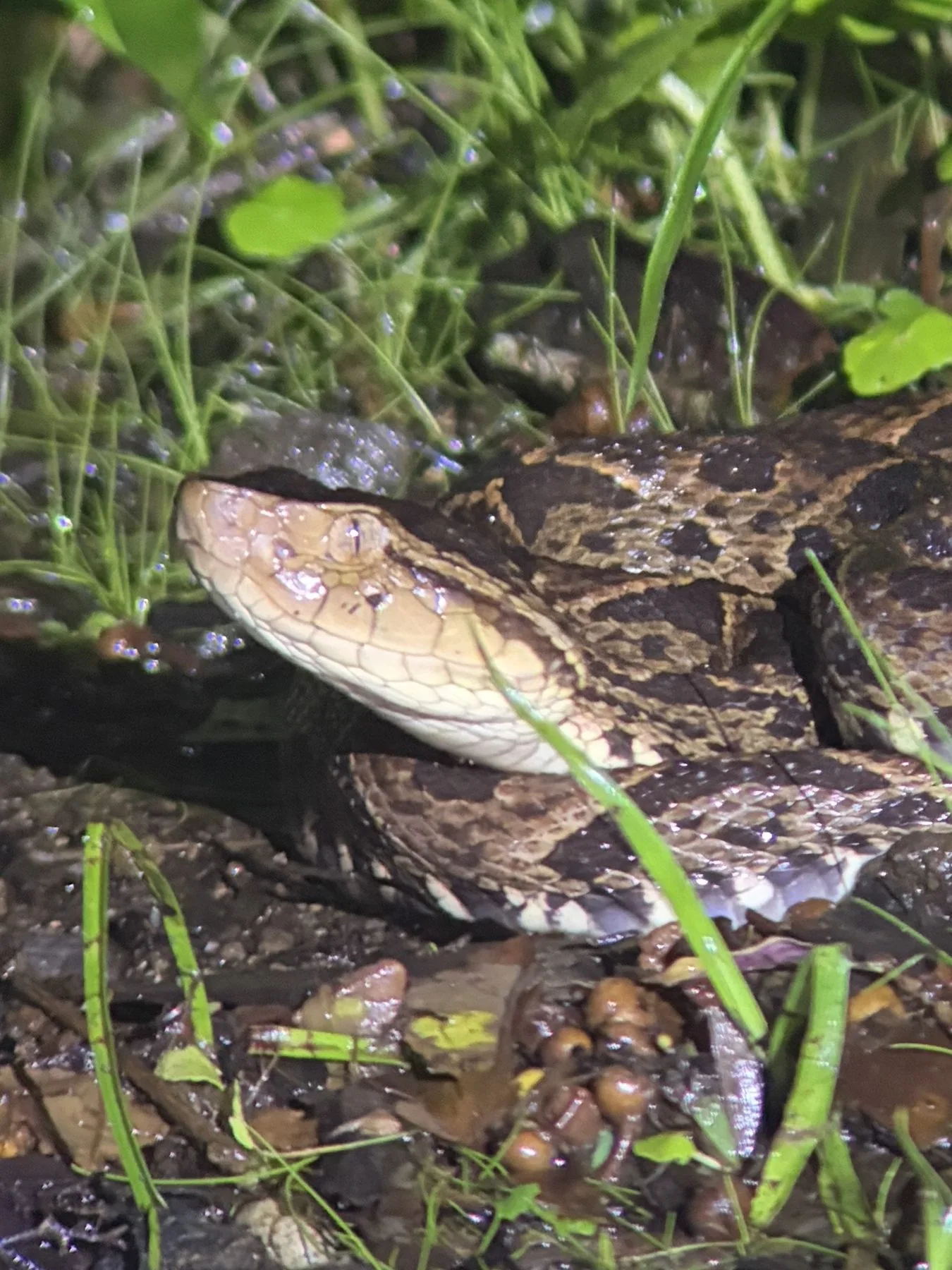 Photograph taken by Patrick while exploring Costa Rica